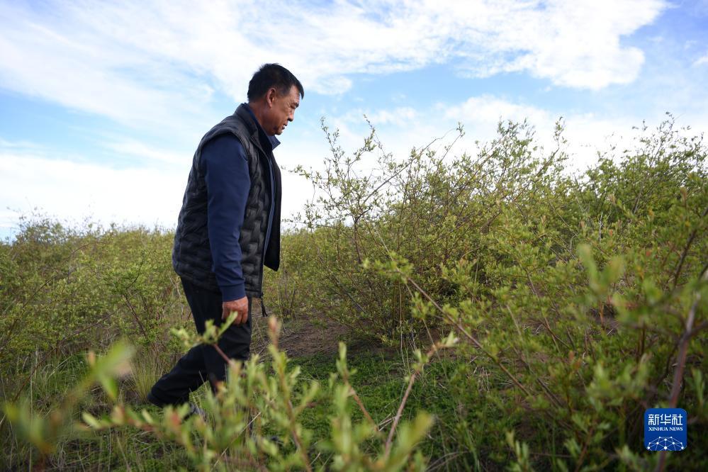摇钱树捕鱼24小时上下分